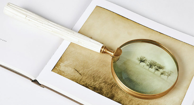 Magnifying Glass on a picture