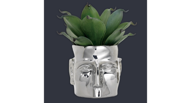Face vase with a plant in it