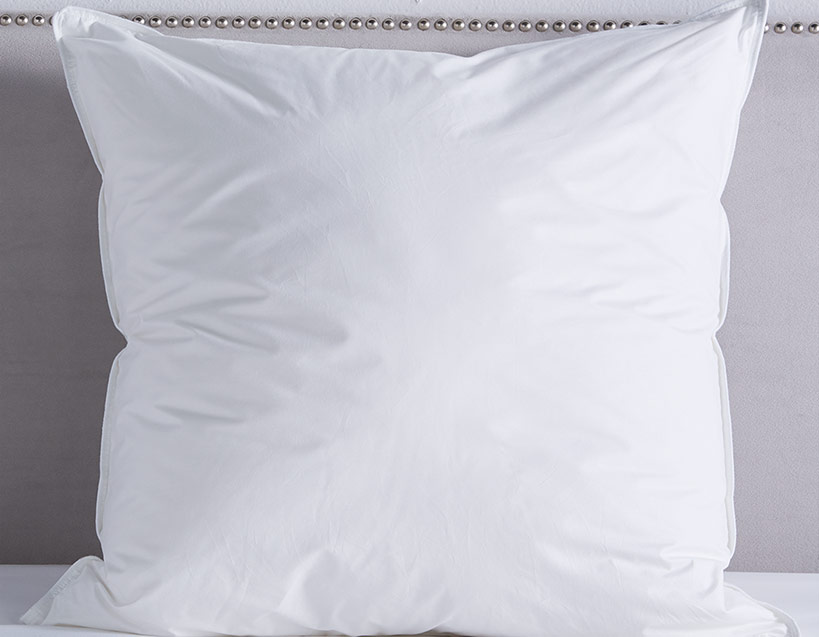 Euro Pillow  image