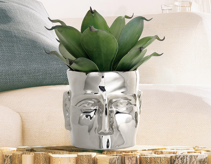 Face Vase